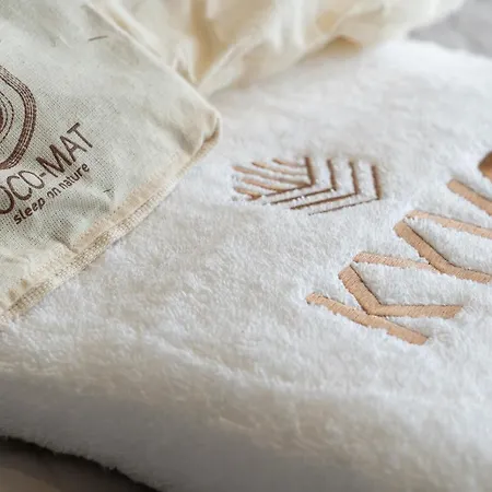 Kyvo Experience * スカラ・ポタミアス